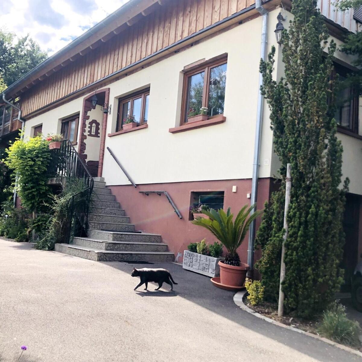 Gite Du Ried Bischwiller Exteriér fotografie