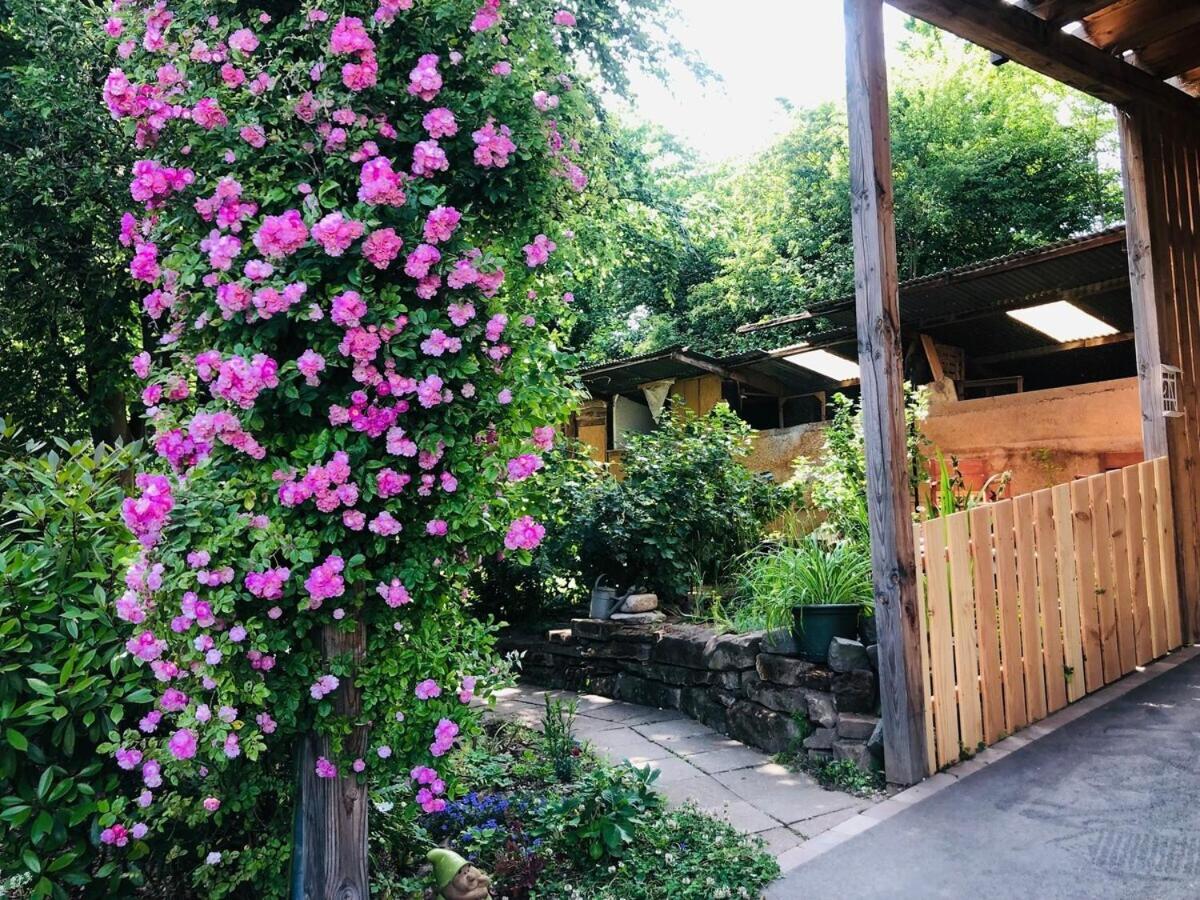 Gite Du Ried Bischwiller Exteriér fotografie